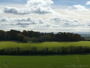 Views from a walk through arable fields in the Dorset countryside