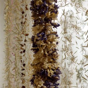 Dried flowers