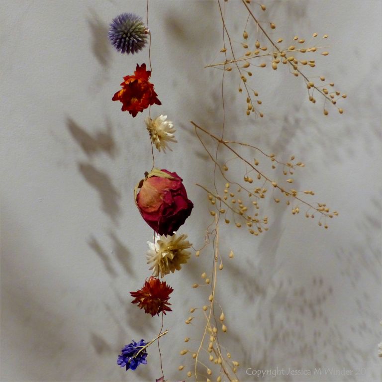Dried flowers