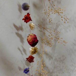 Dried flowers