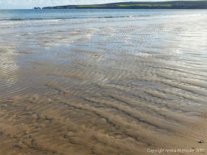 Soft autumn sunlight on wet sand ripples at low tide