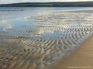 Soft autumn sunlight on wet sand ripples at low tide