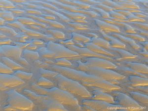 Soft autumn sunlight on wet sand ripples at low tide