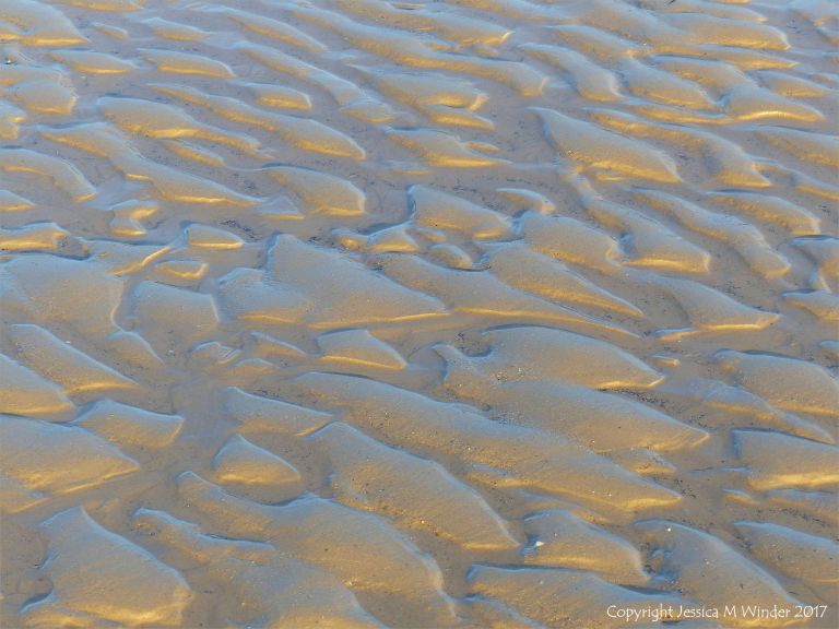 Soft autumn sunlight on wet sand ripples at low tide