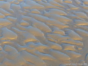 Soft autumn sunlight on wet sand ripples at low tide