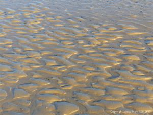 Soft autumn sunlight on wet sand ripples at low tide
