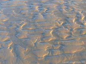 Soft autumn sunlight on wet sand ripples at low tide