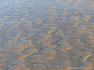 Soft autumn sunlight on wet sand ripples at low tide