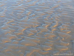 Soft autumn sunlight on wet sand ripples at low tide