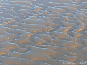 Soft autumn sunlight on wet sand ripples at low tide