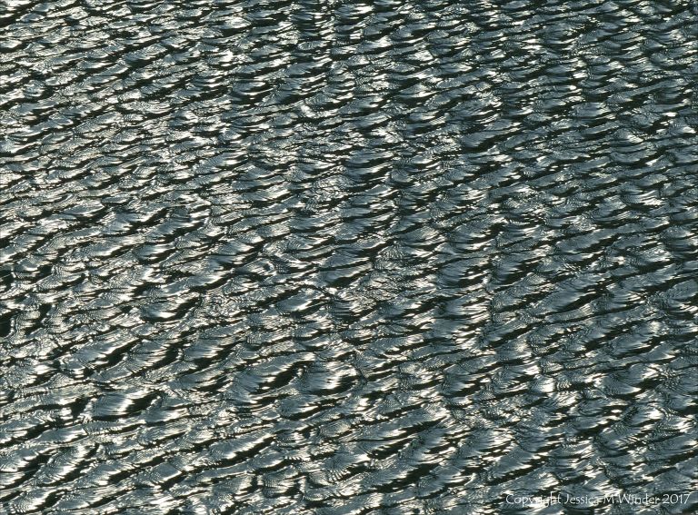Silvery natural pattern and texture on the surface of water ruffled by a strong breeze