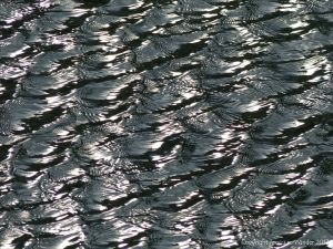 Silvery water surface