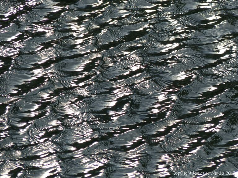 Silvery water surface