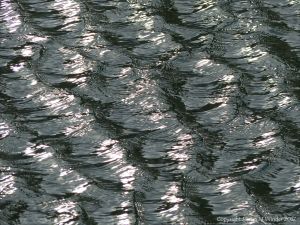 Silvery rippled water surface