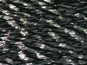 Monochrome patterns on rippled water