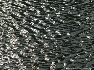 Black, white, and grey water ripple patterns