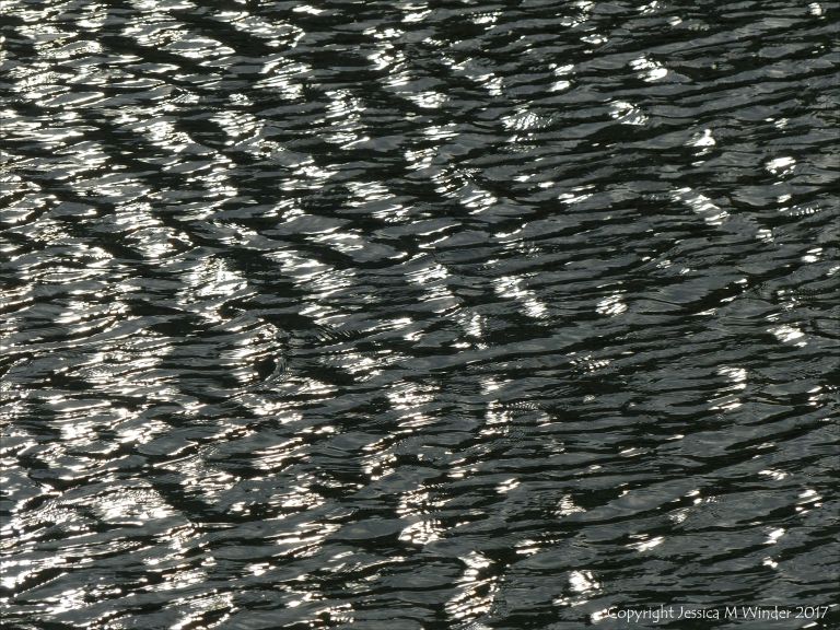 Black, white, and grey water ripple patterns