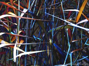 Stems and leaves of reeds in multicolours