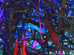 Stems and leaves of reeds in multicolours