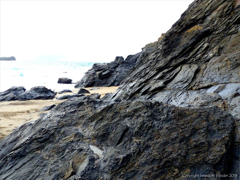 Outcrop of metasedimentary bedrock with veins from the Portscatho Formation at Polurrian Cove