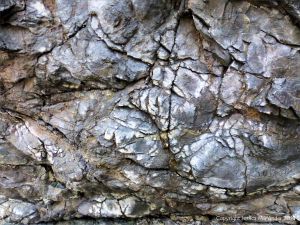 Detail of of hornblende schist at Polurrian Cove in Cornwall