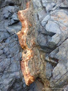 Rock pattern and texture in hornblende schist at Polurrian Cove