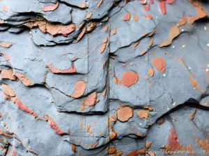Metasedimentary rock from the Porthscatho Formation in Cornwall