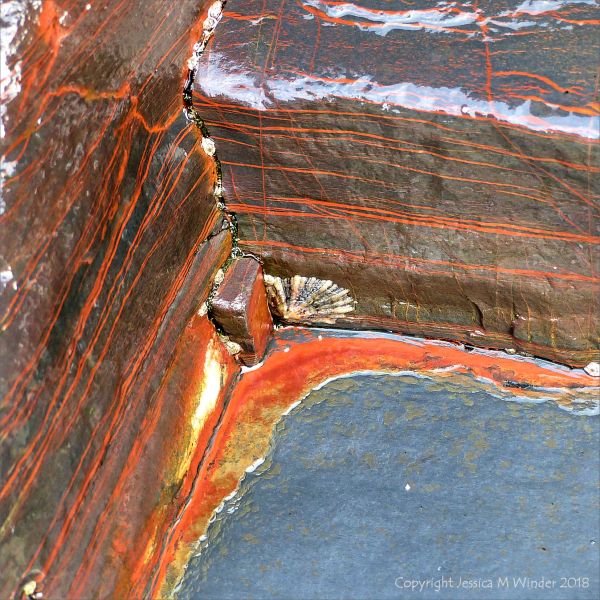 Red stripes in layered metasedimentary rock