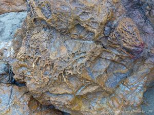 Rock texture detail from the Lizard Fault Boundary zone