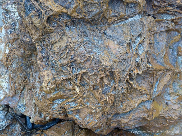 Close-up of rock texture in a fault zone