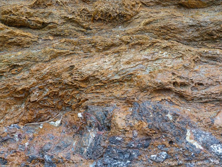 Rock textures in the fault zone at Polurrian Cove