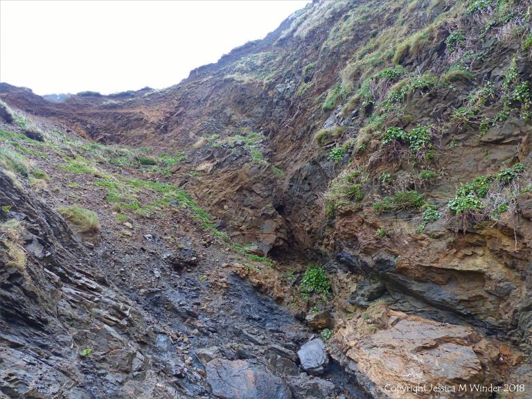 The scar in the cliff which is the Lizard Boundary Fault