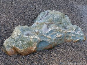 Rock outcrop on beach at Polurrian Cove
