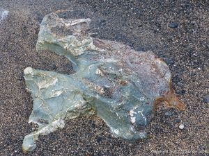 Boulder on the beach at Polurrian Cove