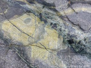 Pattern and texture in hornblende schist
