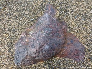 Boulder of brecciated rock on the beach at Polurrian Cove