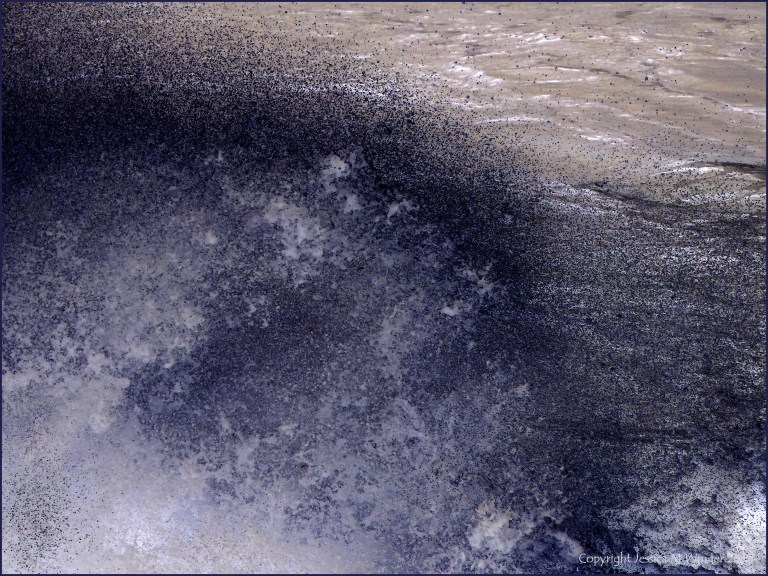 The breaking crest of a wave in stormy weather