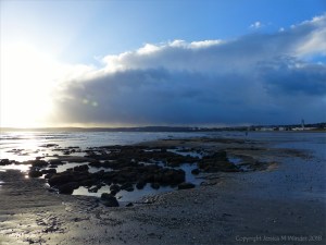 View of Swansea Bay showing low tide reefs of Honeycomb Worm tubes