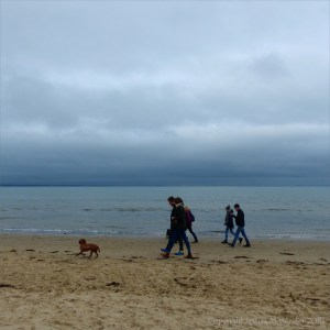 People with dogs on the beach
