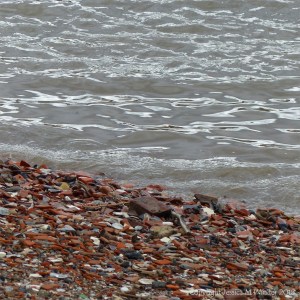 Detail of the composition of an urban shore along a tidal river where water-worn historical building and domestic debris is mixed with natural flints and stones.