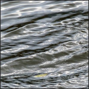 Water surface texture and pattern