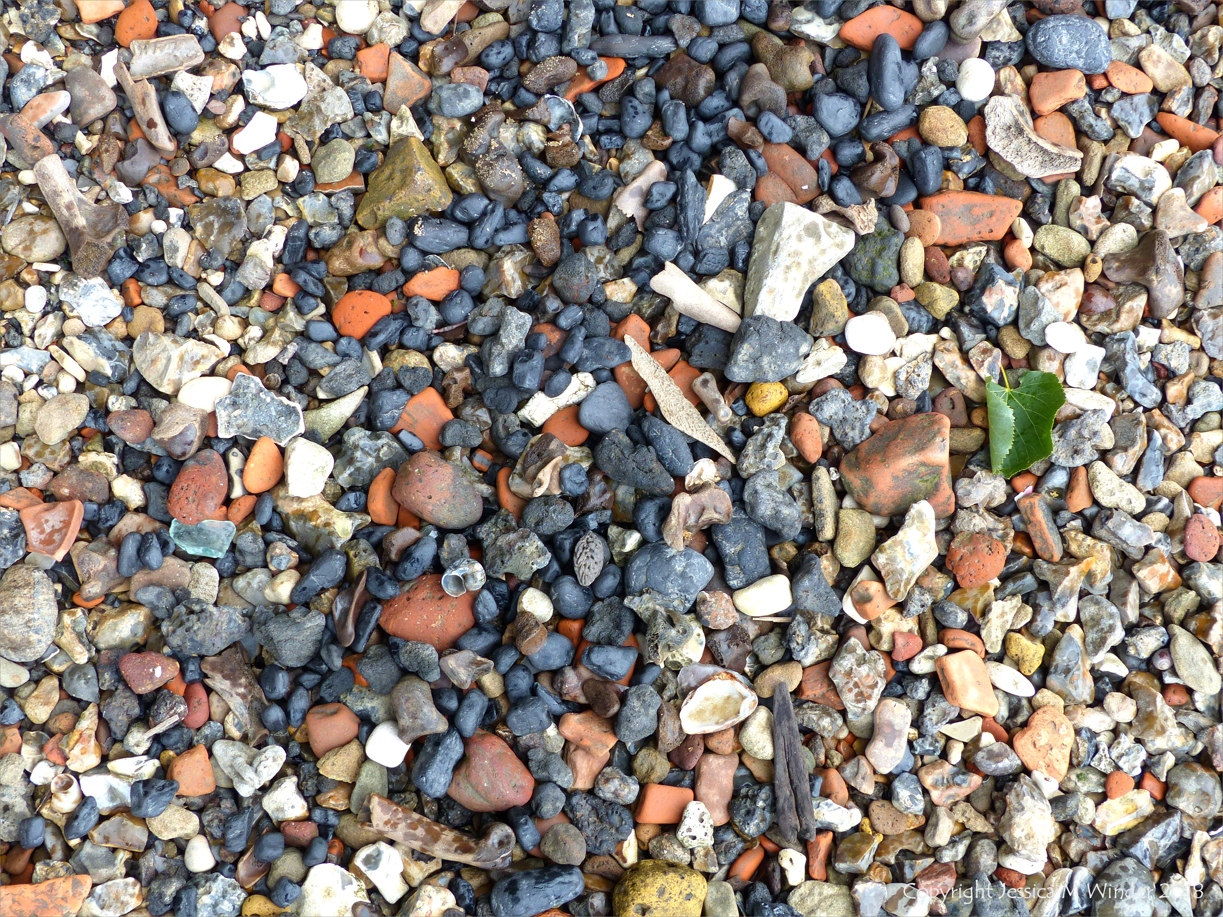 Composition of an urban riverside beach