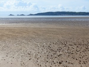 Sand rippled seashore with lugworm casts