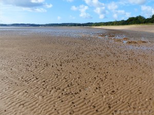 Sand rippled seashore with lugworm casts
