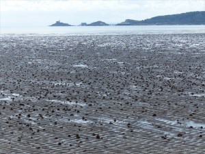 Sand rippled seashore with lugworm casts