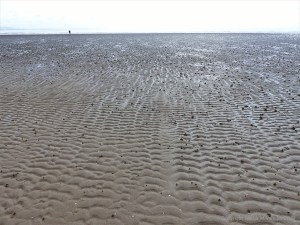 Sand rippled seashore with lugworm casts