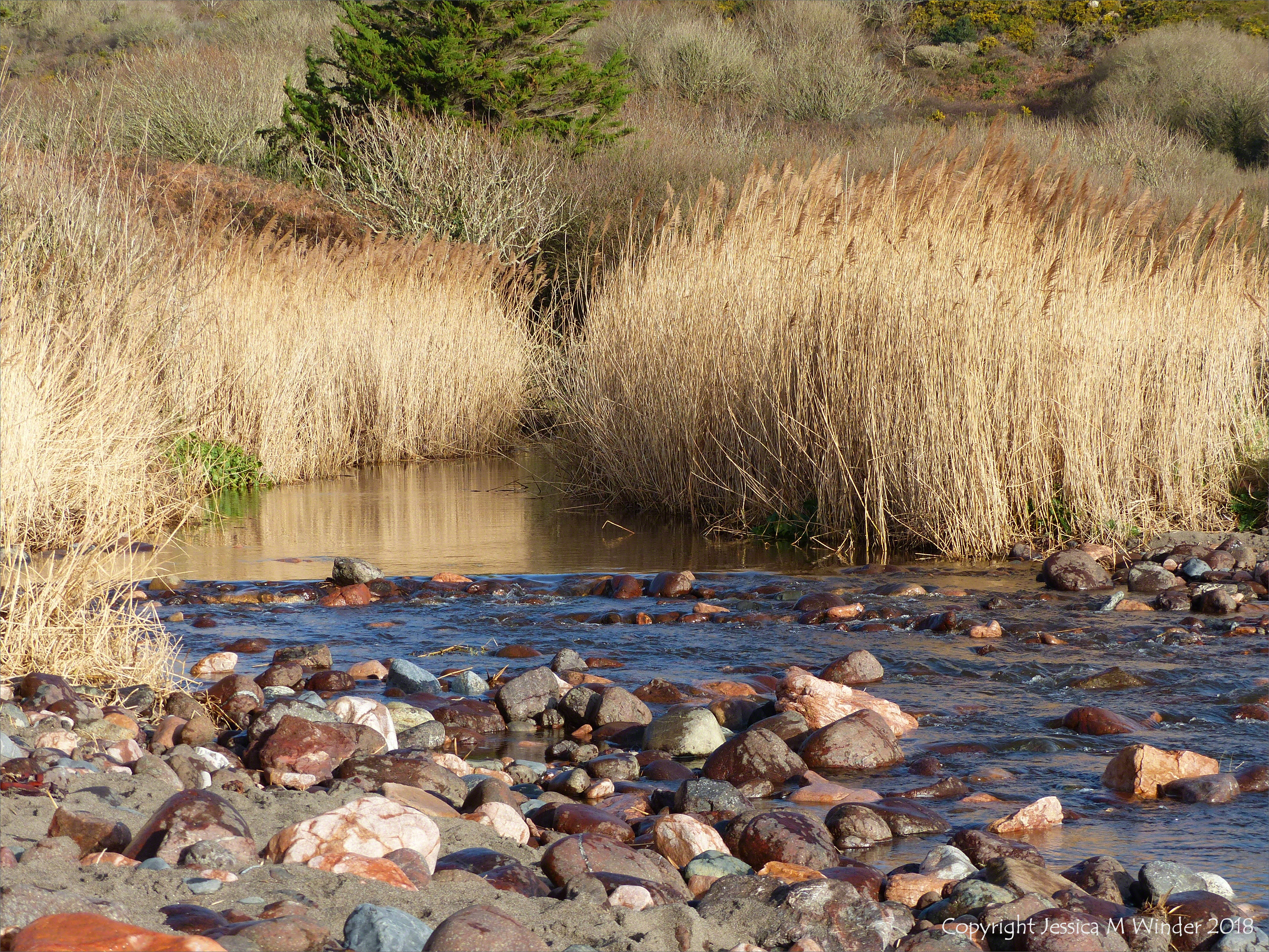 Stream flowing onto the beach at Kennack Sands