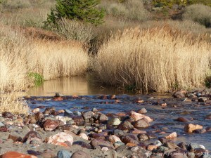 Stream flowing onto the beach at Kennack Sands