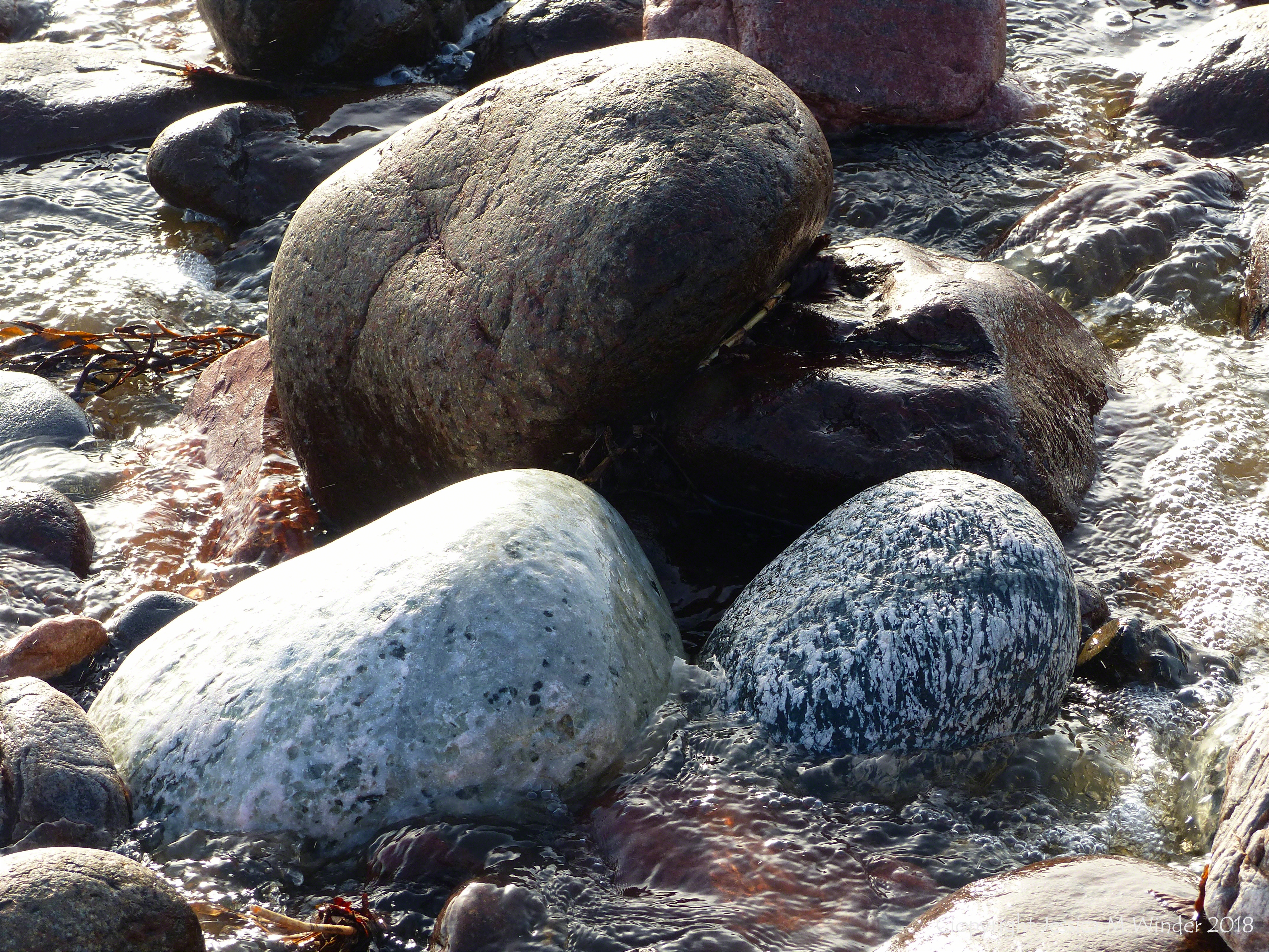 Pebbles in a beach stream at Kennack Sands