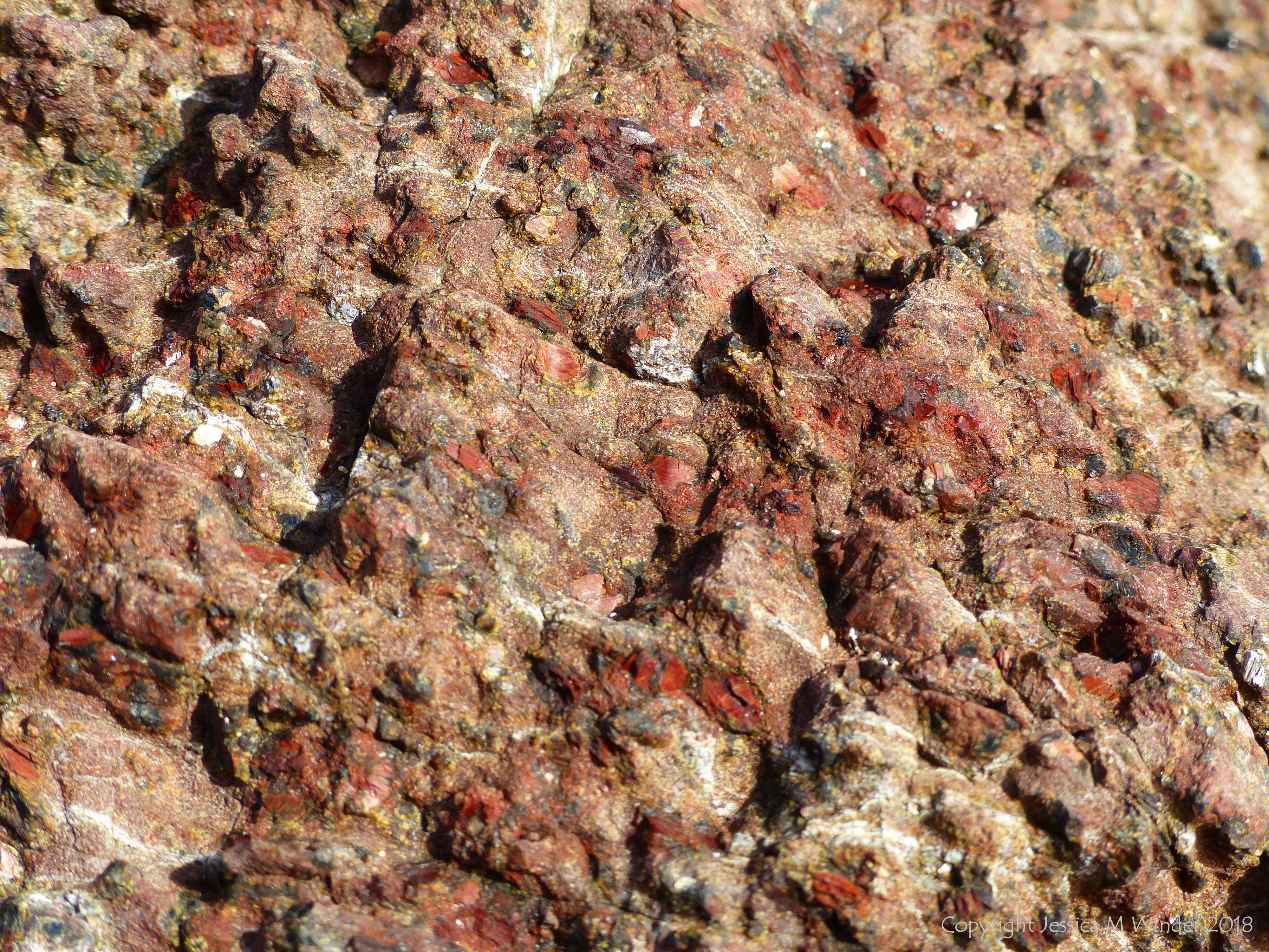 Close-up of rock at Kennack Sands